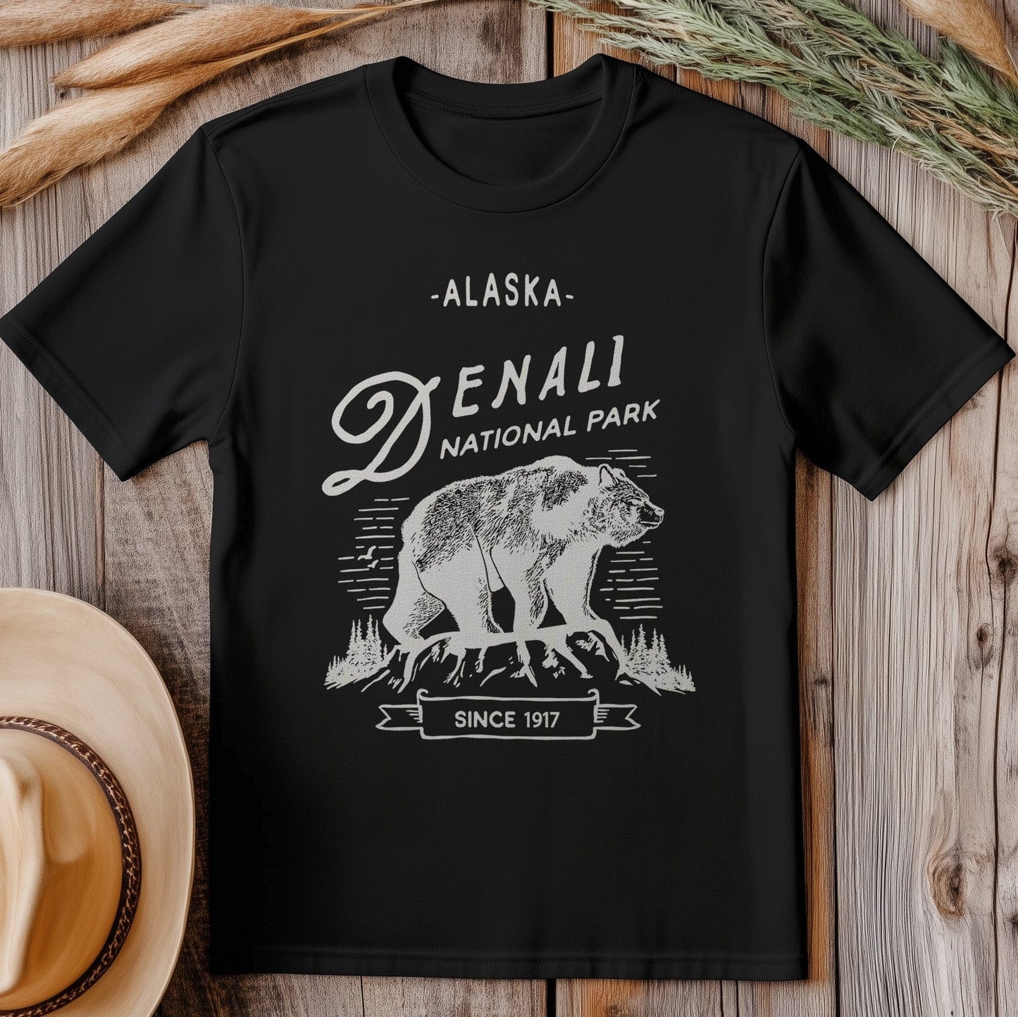 Denali national Park Tee 16