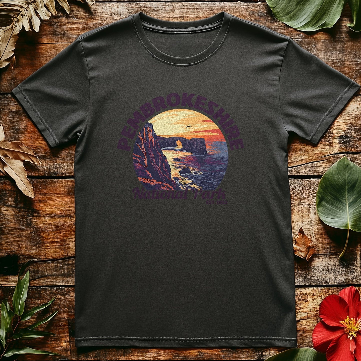 Pembrokeshire V4 T-Shirt