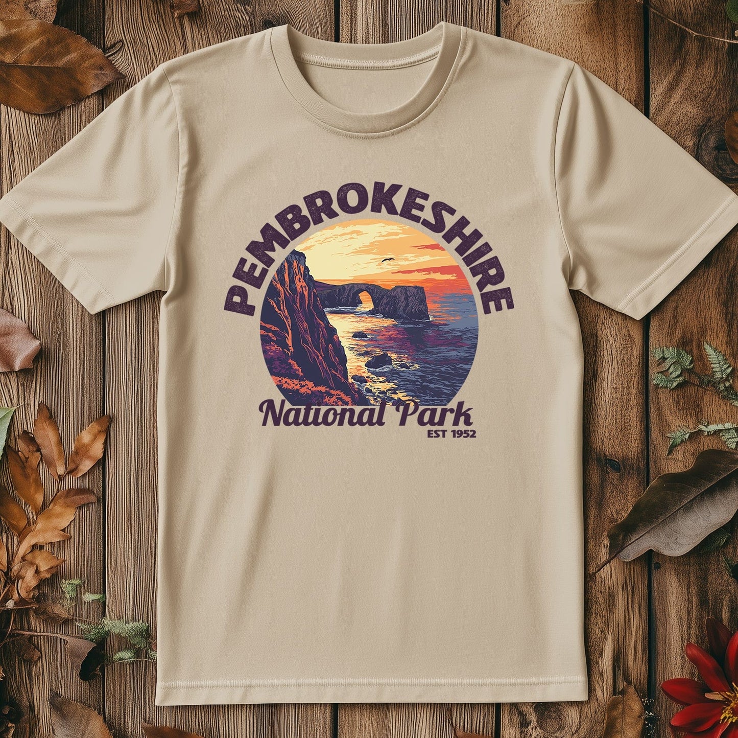 Pembrokeshire V4 T-Shirt