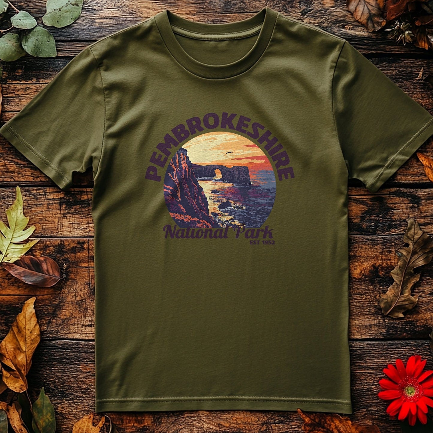 Pembrokeshire V4 T-Shirt