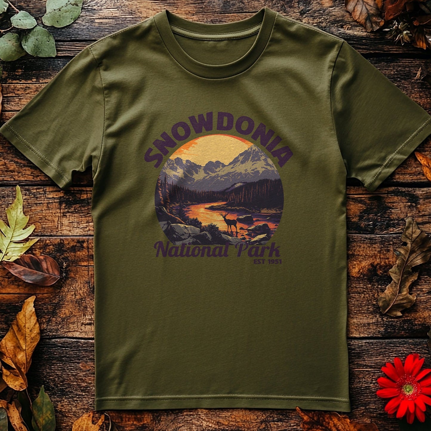 Snowdonia V4 T-Shirt