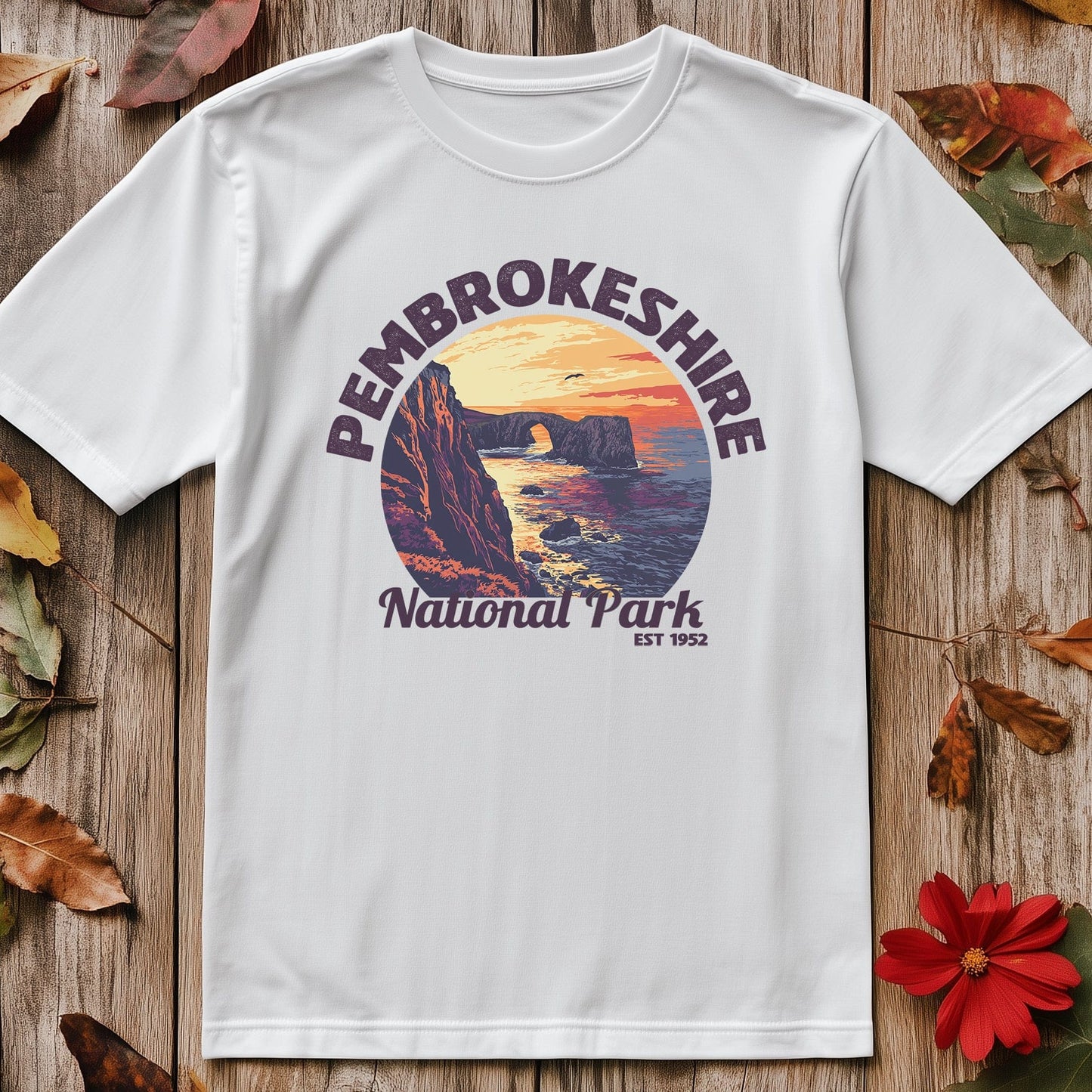 Pembrokeshire V4 T-Shirt