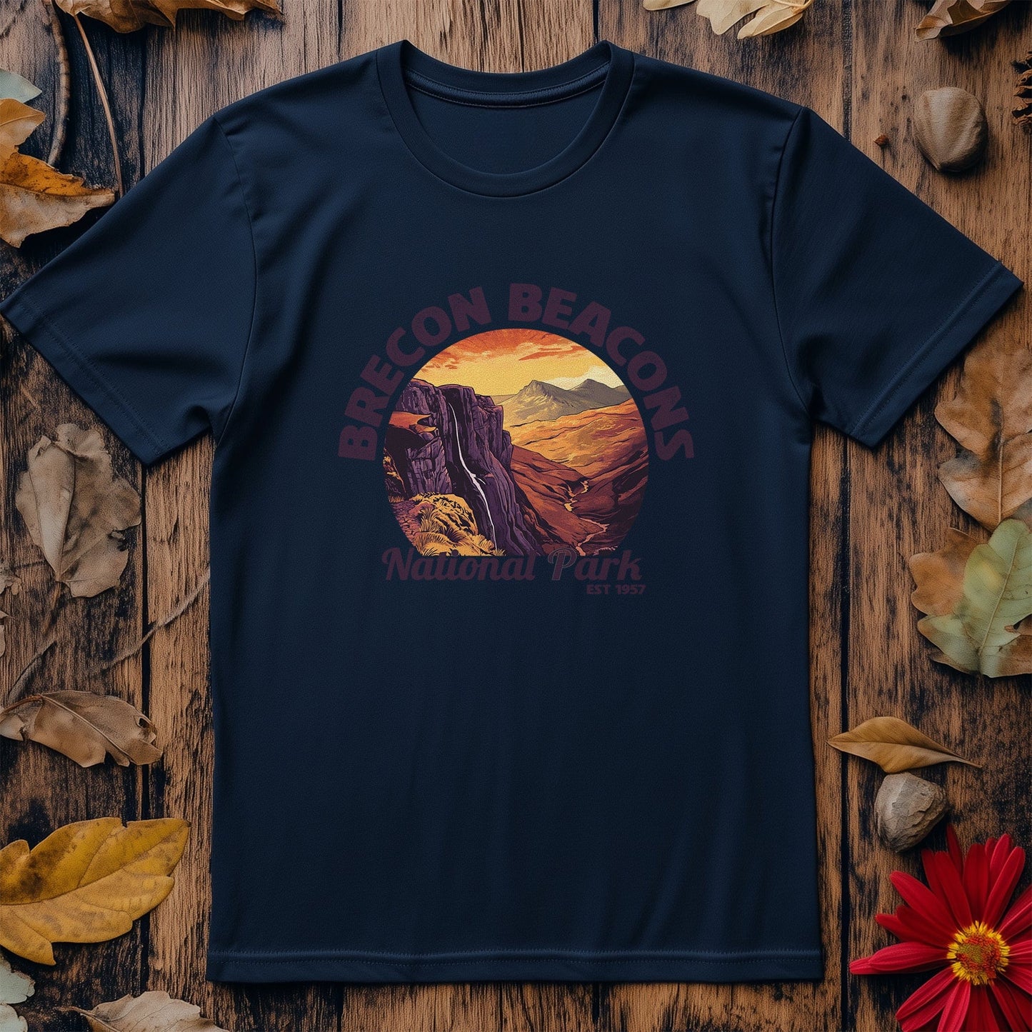 Brecon Beacons V4 T-Shirt