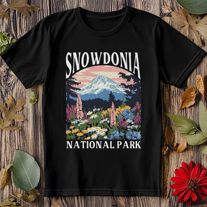 Snowdonia 2 V1 - T-Shirt
