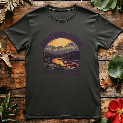 Snowdonia V4 T-Shirt