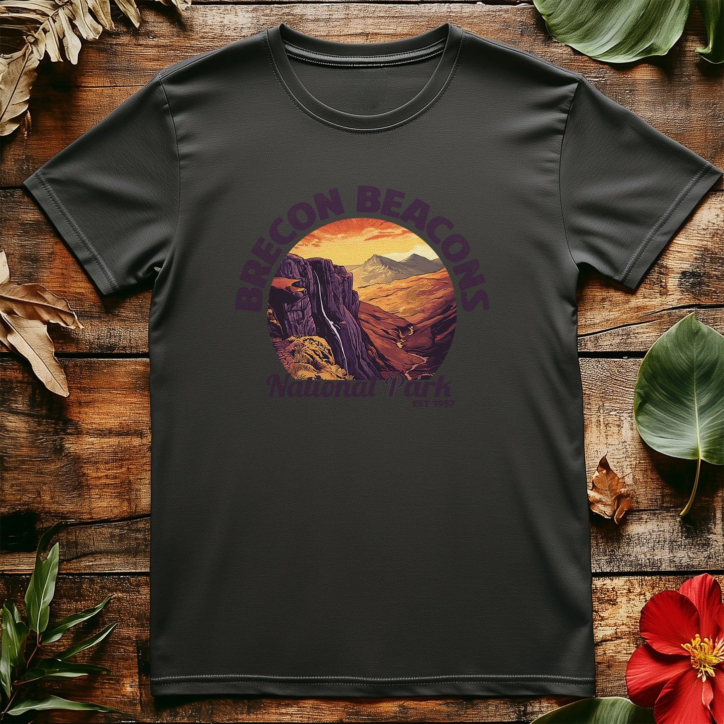 Brecon Beacons V4 T-Shirt