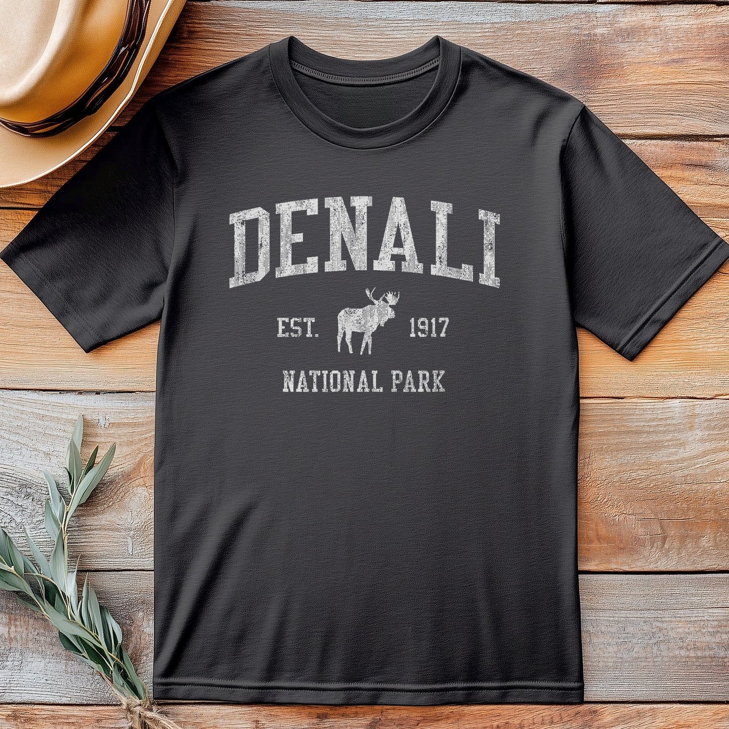 Denali national Park Tee 9