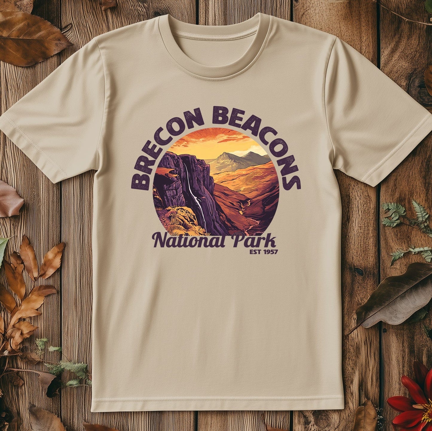 Brecon Beacons V4 T-Shirt