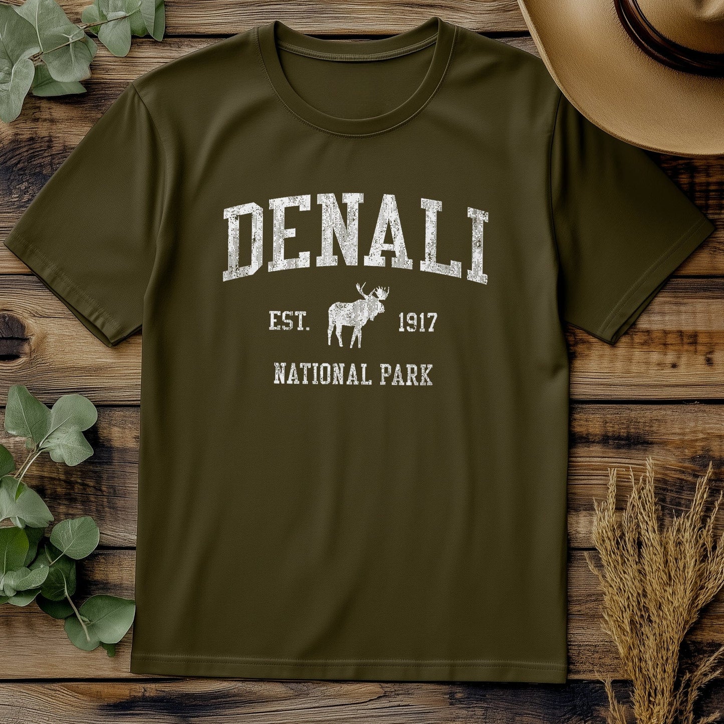 Denali national Park Tee 9