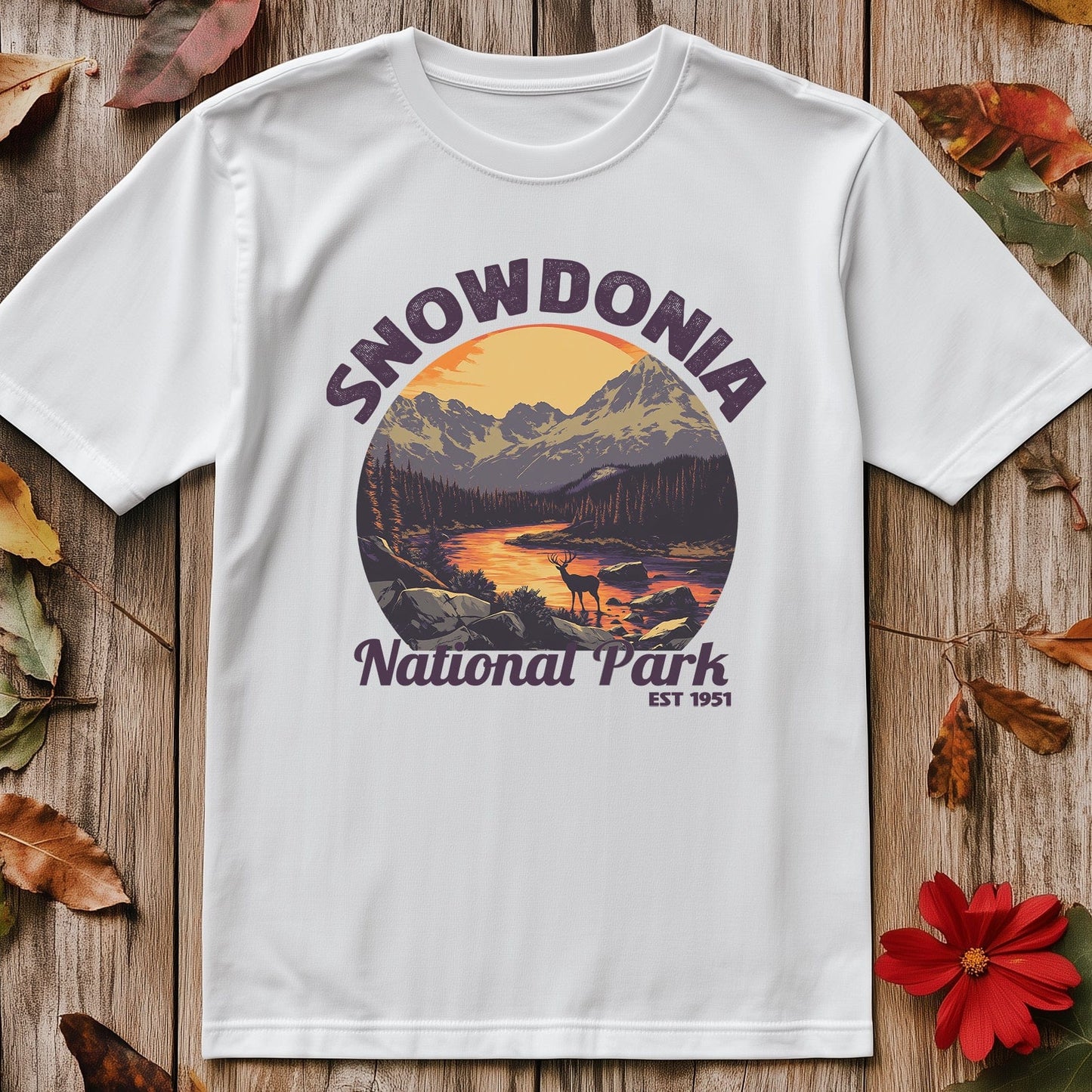 Snowdonia V4 T-Shirt