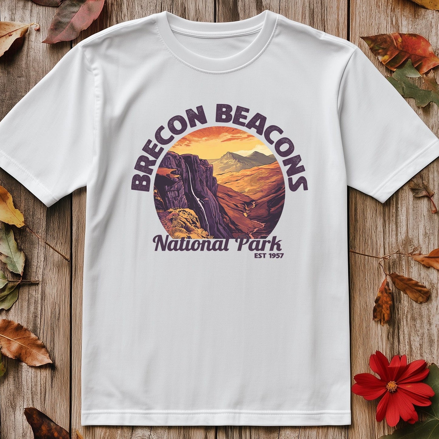 Brecon Beacons V4 T-Shirt